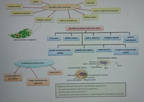 Biologija 9