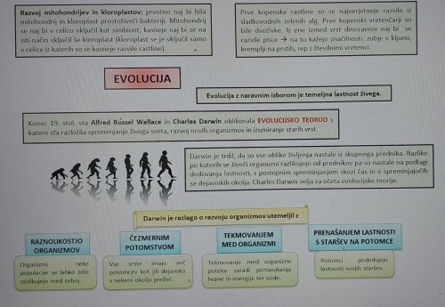 Biologija 9