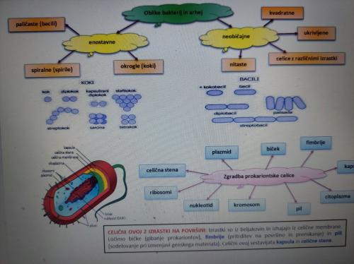 BIOLOGIJA ZA 2. LETNIK SŠ