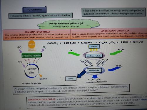 BIOLOGIJA ZA 2. LETNIK SŠ