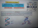 Biologija za 1. letnik (učbenik Biologija 1)